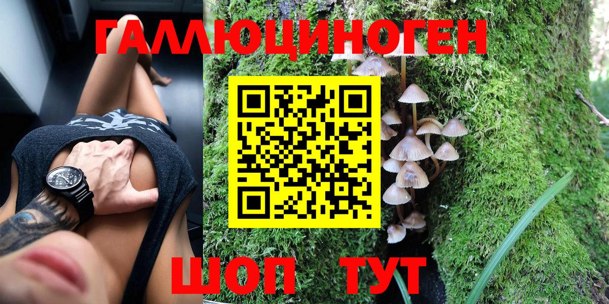 Галлюциногенные грибы мухоморы  Вход с VPN  Зеленодольск  Псилоцибиновые грибы Psilocybe 