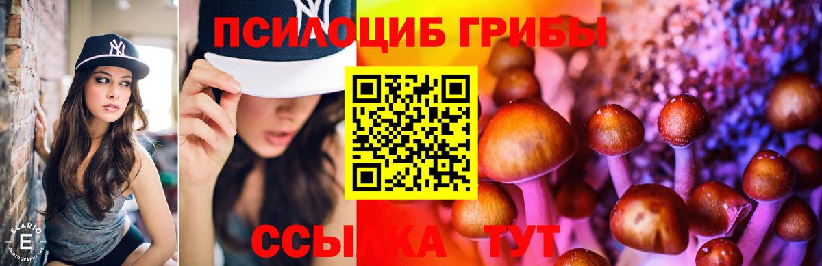 Галлюциногенные грибы Psilocybe Зеленодольск